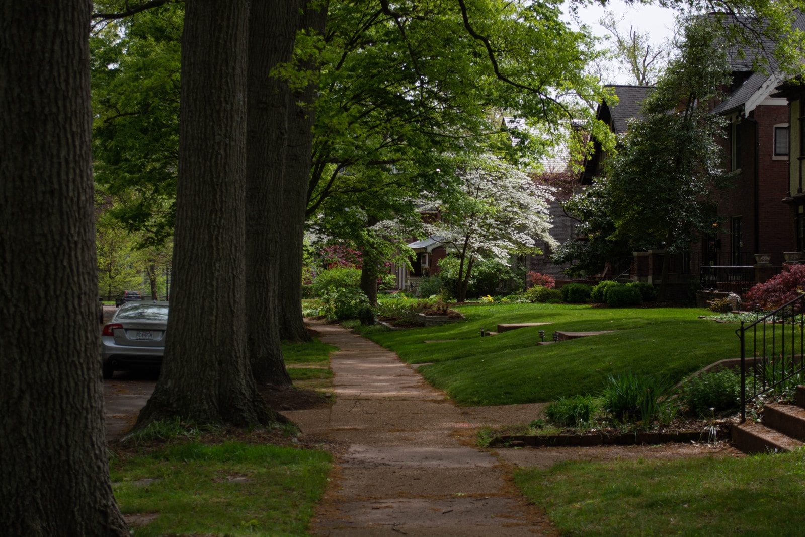 green grass field with trees