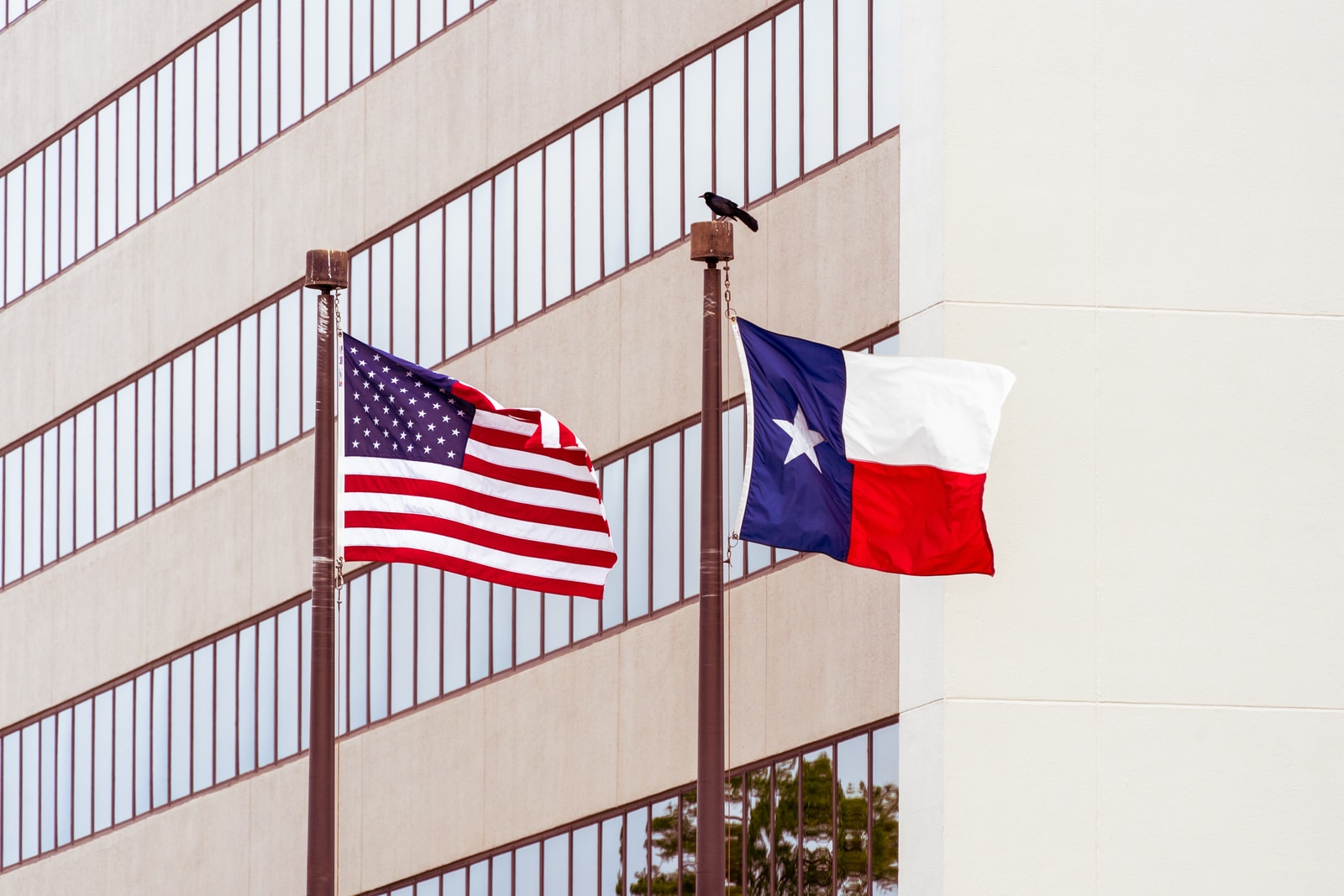 Texas Flag and USA flag on poles