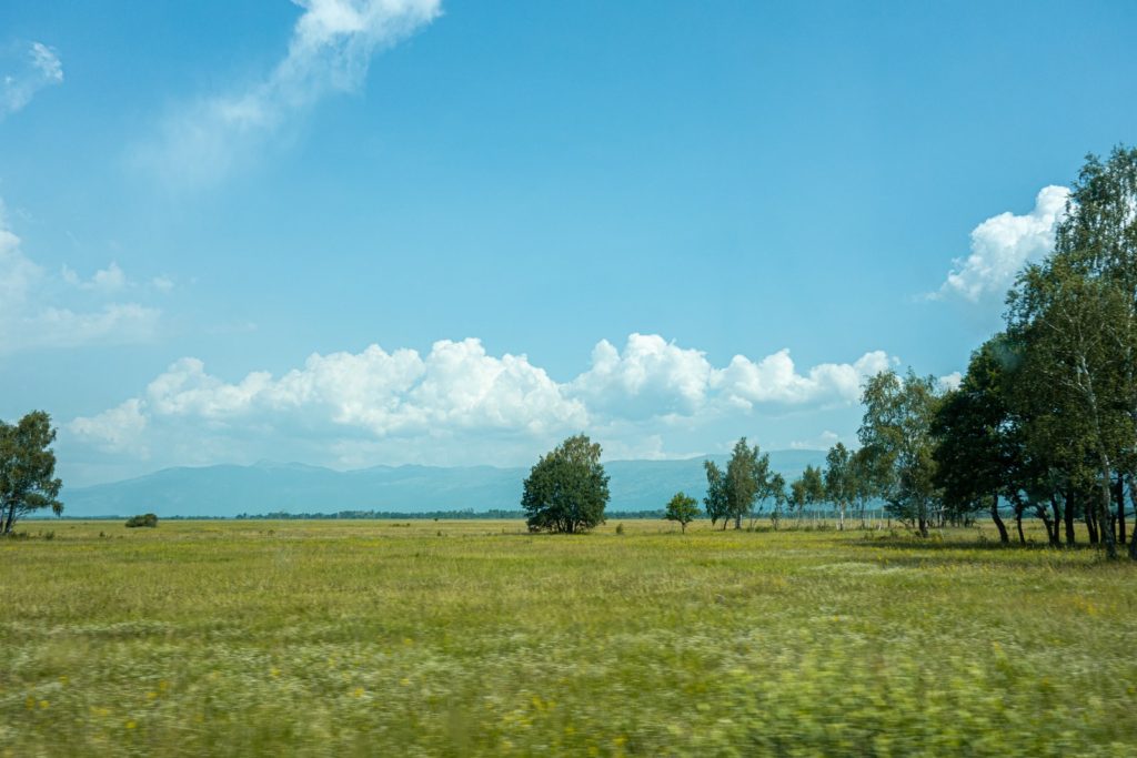 green grass field with green trees under blue sky and white clouds during daytime